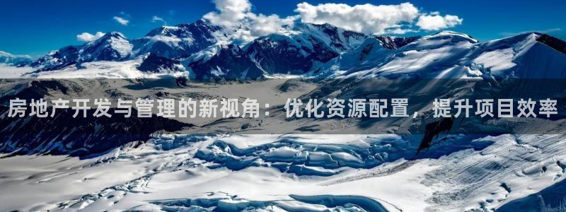 新宝5现在还能玩吗：房地产开发与管理的新视角：优化资源配置，
