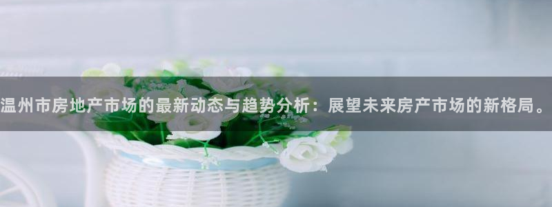 新宝5 - 测速登陆：温州市房地产市场的最新动态与趋势分析：