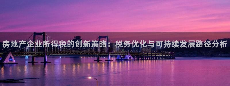 新宝那2O5O5O：房地产企业所得税的创新策略：税务优化与可