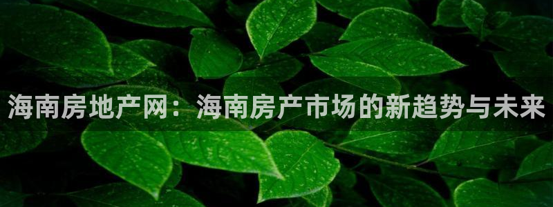 新宝5下载：海南房地产网：海南房产市场的新趋势与未来