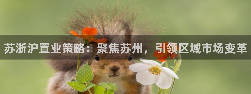 新宝5平棋牌：苏浙沪置业策略：聚焦苏州，引领区域市场变革