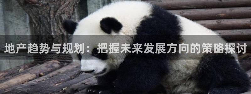 有人知道新宝5么：地产趋势与规划：把握未来发展方向的策略探讨