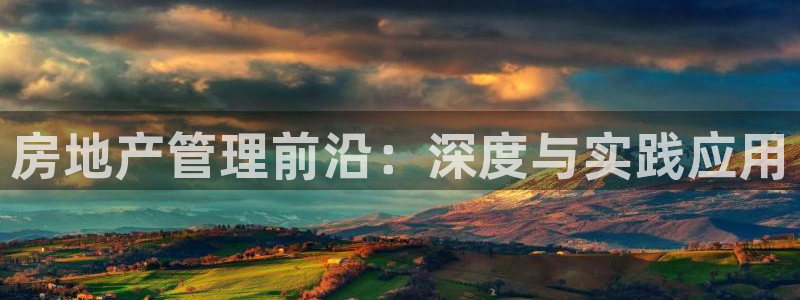 p5r新宝魔：房地产管理前沿：深度与实践应用
