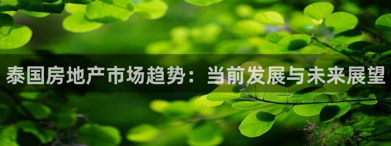 新宝速5：泰国房地产市场趋势：当前发展与未来展望