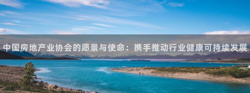 新宝5蒋7O667：中国房地产业协会的愿景与使命：携手推动行