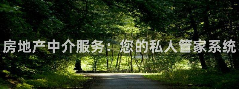 新宝5手机下载：房地产中介服务：您的私人管家系统