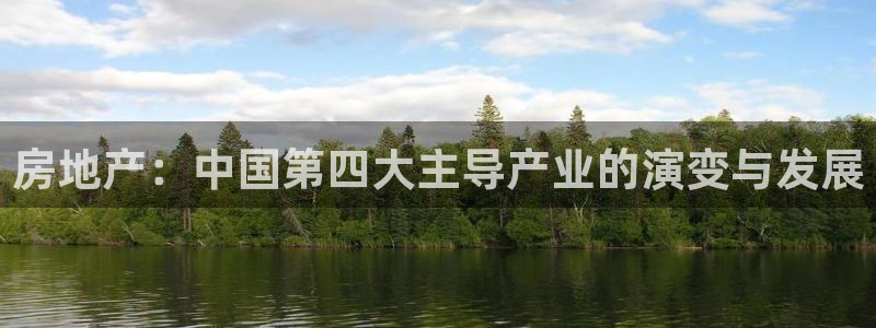 新宝5娱乐方：房地产：中国第四大主导产业的演变与发展