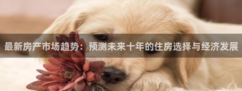 新宝5户端：最新房产市场趋势：预测未来十年的住房选择与经济发