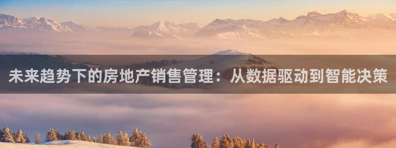 新宝xb5：未来趋势下的房地产销售管理：从数据驱动到智能决策