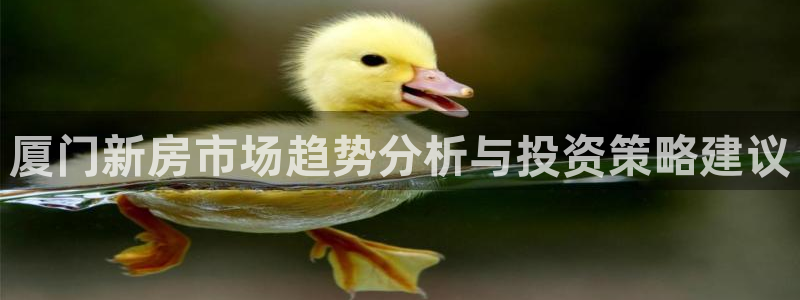 新宝5彩票平台登陆：厦门新房市场趋势分析与投资策略建议
