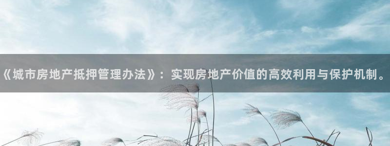 新宝5源码：《城市房地产抵押管理办法》：实现房地产价值的高效