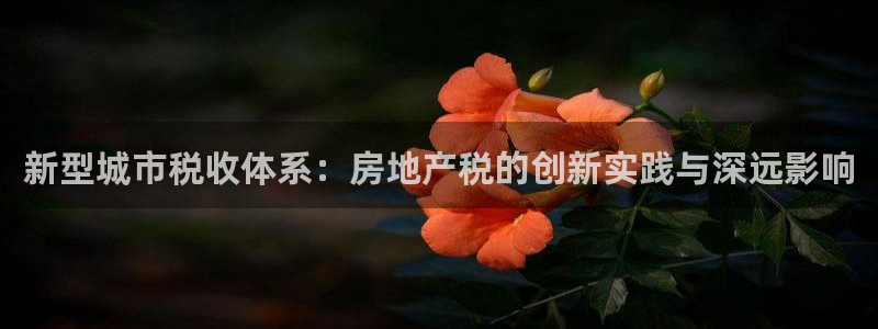 i新宝5：新型城市税收体系：房地产税的创新实践与深远影响