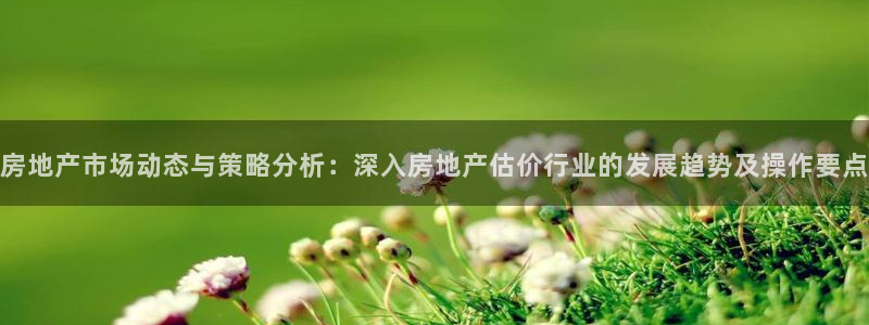 新宝5尤74OOO5：房地产市场动态与策略分析：深入房地产估