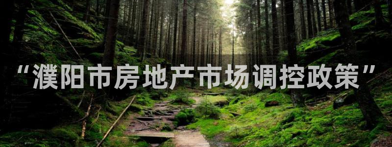 新宝5娱乐方