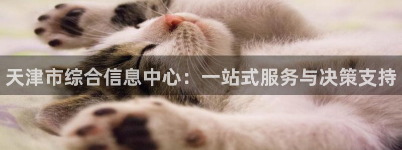 新宝新5：天津市综合信息中心：一站式服务与决策支持