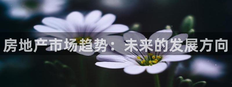 新宝_5：房地产市场趋势：未来的发展方向