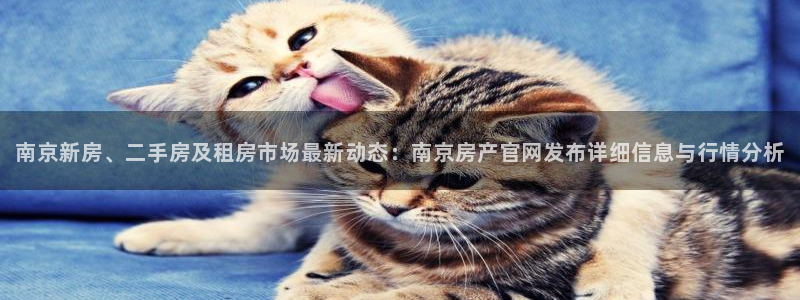 新宝5娱乐同：南京新房、二手房及租房市场最新动态：南京房产官