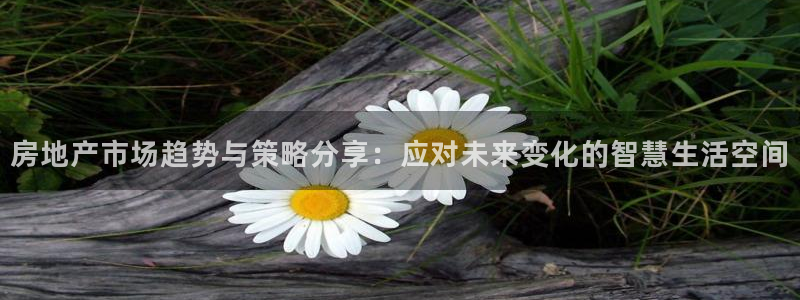 菲律宾新宝5老板