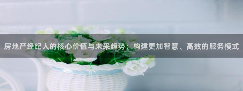 新宝5网站：房地产经纪人的核心价值与未来趋势：构建更加智慧、