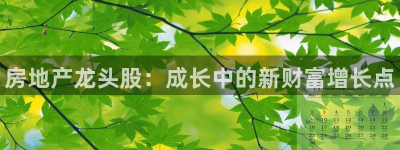 新宝股东张听2 5 5：房地产龙头股：成长中的新财富增长点