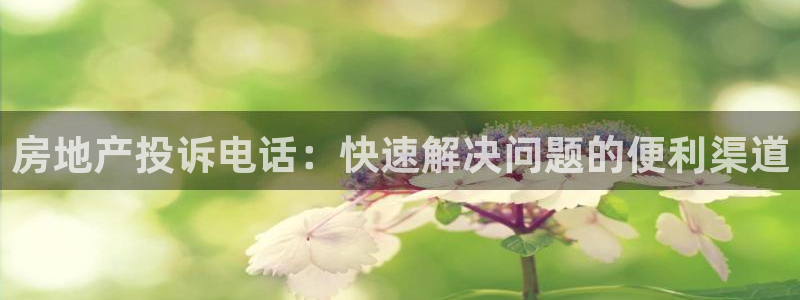 新宝5台卡：房地产投诉电话：快速解决问题的便利渠道