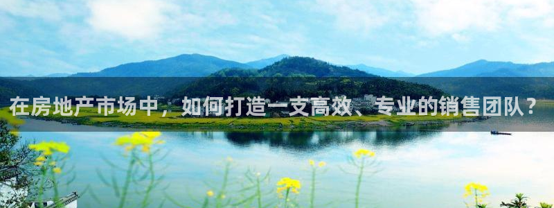 新宝5主管：在房地产市场中，如何打造一支高效、专业的销售团队