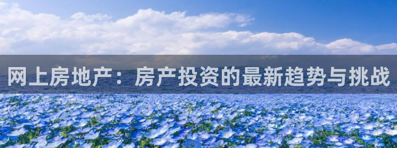 新宝5黑：网上房地产：房产投资的最新趋势与挑战