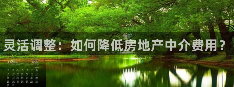新宝5尤74OOO5：灵活调整：如何降低房地产中介费用？