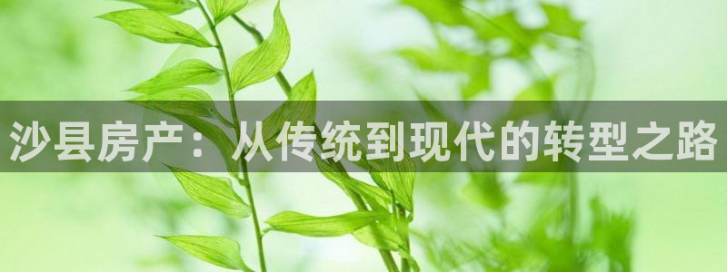 新宝5下载app：沙县房产：从传统到现代的转型之路