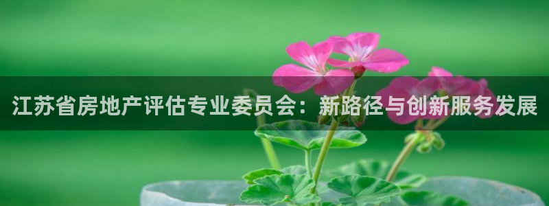 新宝5户端：江苏省房地产评估专业委员会：新路径与创新服务发展