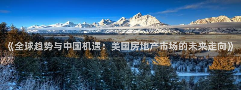 新宝5娱乐经：《全球趋势与中国机遇：美国房地产市场的未来走向