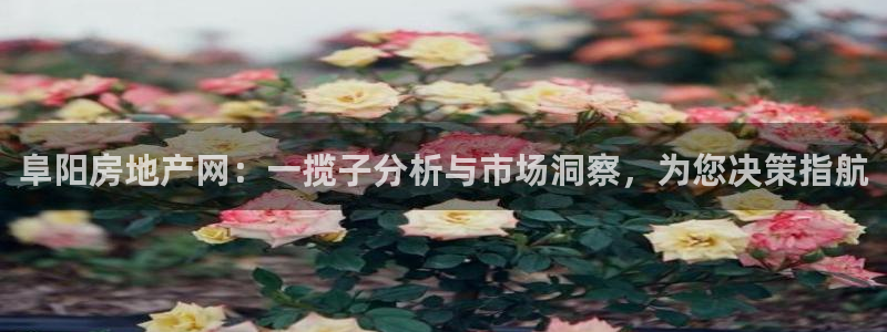 新宝5平棋牌：阜阳房地产网：一揽子分析与市场洞察，为您决策指