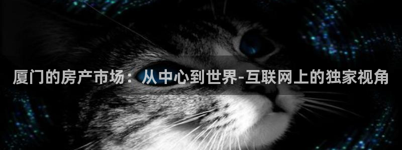 新宝5手机下载：厦门的房产市场：从中心到世界-互联网上的独家