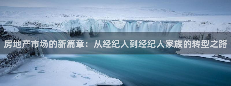 新宝5玩法：房地产市场的新篇章：从经纪人到经纪人家族的转型之