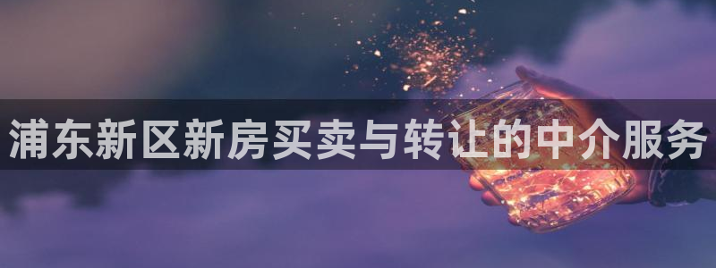 新宝5上来77542：浦东新区新房买卖与转让的中介服务