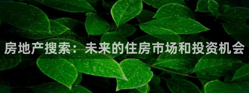 新宝5招商：房地产搜索：未来的住房市场和投资机会