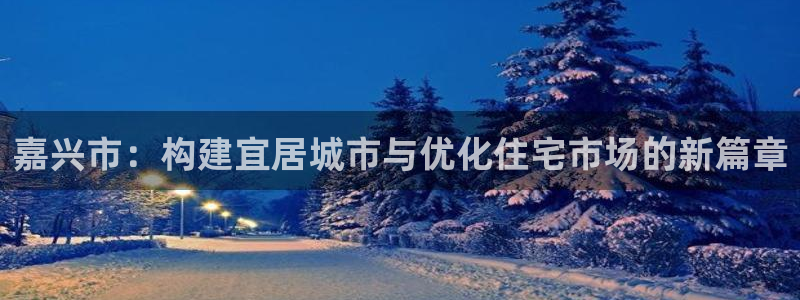 新宝5是什么样子的：嘉兴市：构建宜居城市与优化住宅市场的新篇
