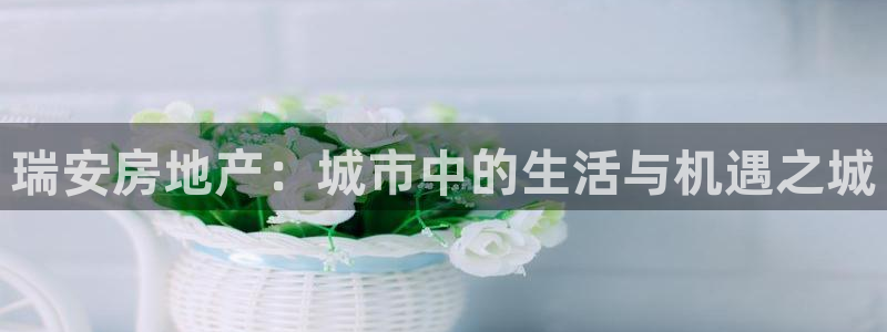 新宝5官方网站：瑞安房地产：城市中的生活与机遇之城