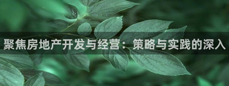 新宝5彩票平台登陆：聚焦房地产开发与经营：策略与实践的深入
