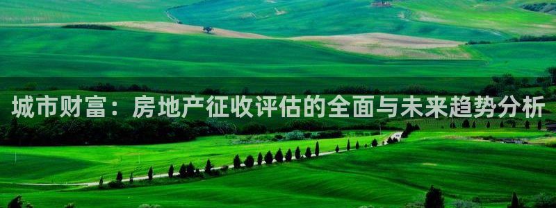 新宝5彩票是正规平台吗：城市财富：房地产征收评估的全面与未来