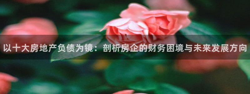 新宝5登录入口网址：以十大房地产负债为镜：剖析房企的财务困境
