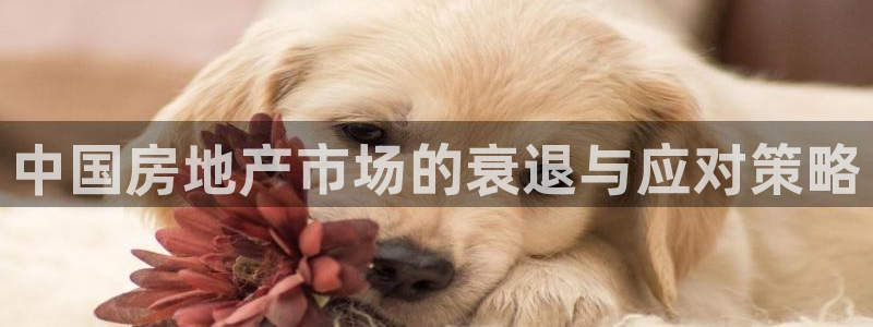 新宝5平台登录注册：中国房地产市场的衰退与应对策略