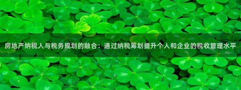 股票5G宝新：房地产纳税人与税务规划的融合：通过纳税筹划提升
