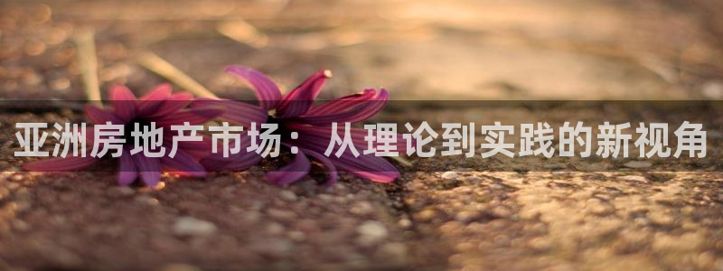 新宝G5：亚洲房地产市场：从理论到实践的新视角
