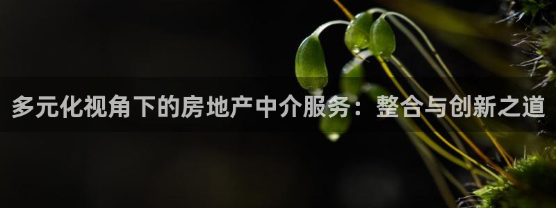 有人知道新宝5么：多元化视角下的房地产中介服务：整合与创新之