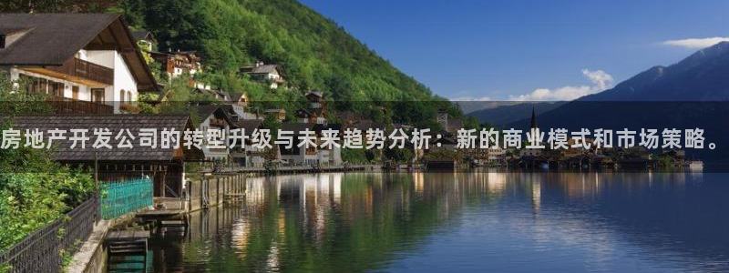 新宝娱乐5入口：房地产开发公司的转型升级与未来趋势分析：新的
