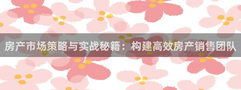 新宝5彩票平台登陆：房产市场策略与实战秘籍：构建高效房产销售
