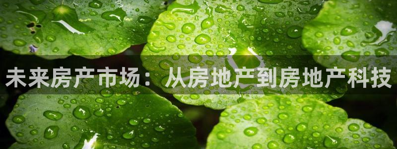 新宝5客户端登录：未来房产市场：从房地产到房地产科技