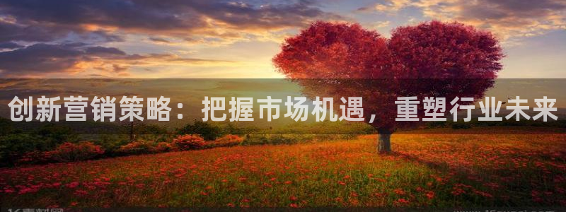 新宝5娱乐招商：创新营销策略：把握市场机遇，重塑行业未来