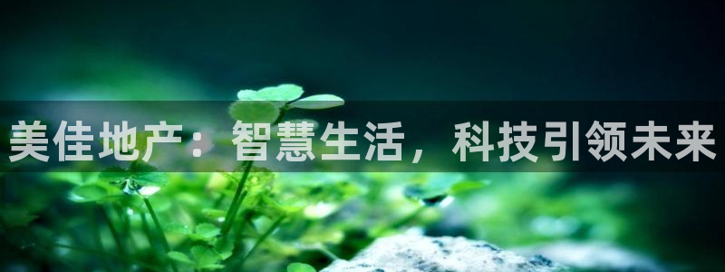 新宝5是什么样子的：美佳地产：智慧生活，科技引领未来